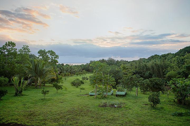 Kirpal Meditation And Ecological Center Pahoa Buitenkant foto