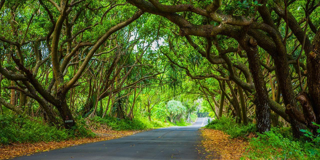 Kirpal Meditation And Ecological Center Pahoa Buitenkant foto