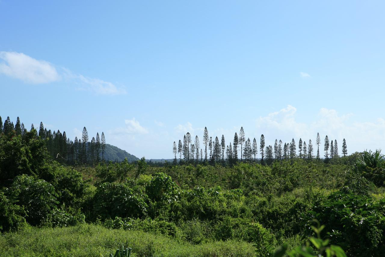 Kirpal Meditation And Ecological Center Pahoa Buitenkant foto