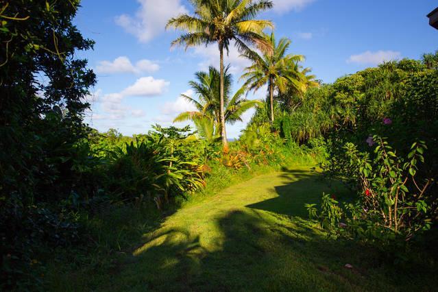 Kirpal Meditation And Ecological Center Pahoa Buitenkant foto