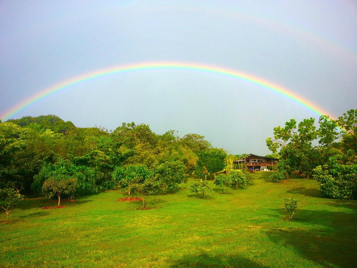 Kirpal Meditation And Ecological Center Pahoa Buitenkant foto