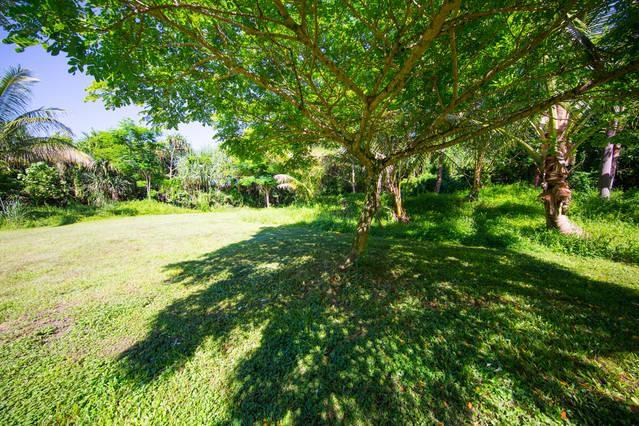 Kirpal Meditation And Ecological Center Pahoa Buitenkant foto