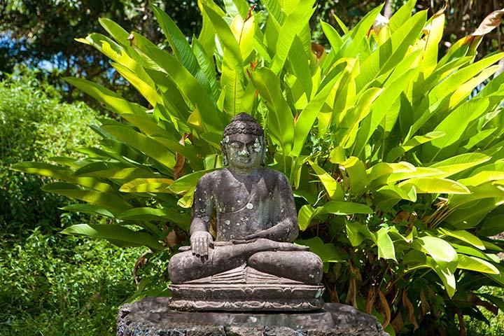Kirpal Meditation And Ecological Center Pahoa Buitenkant foto