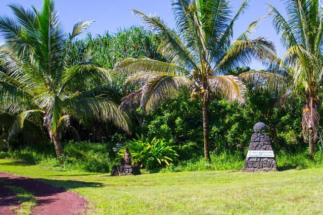 Kirpal Meditation And Ecological Center Pahoa Buitenkant foto